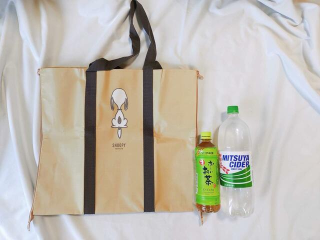 1000mlペットボトルもラクラクはいる大きさ