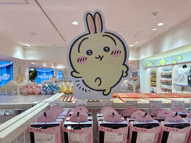 陳列棚の上部にうさぎが♪かわいい〜！