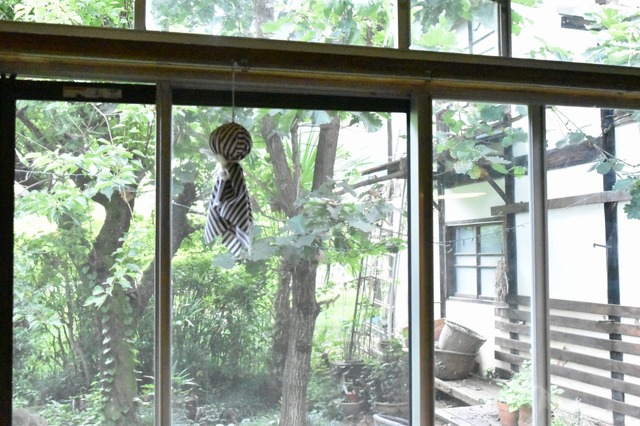 この日の天気予報は雨だったが晴れた