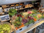 町田産　フレッシュ野菜のサラダビュッフェ