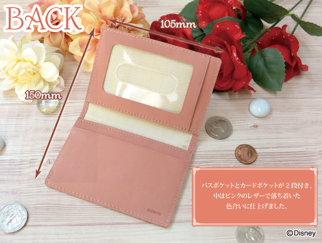 パスケース 5,900円