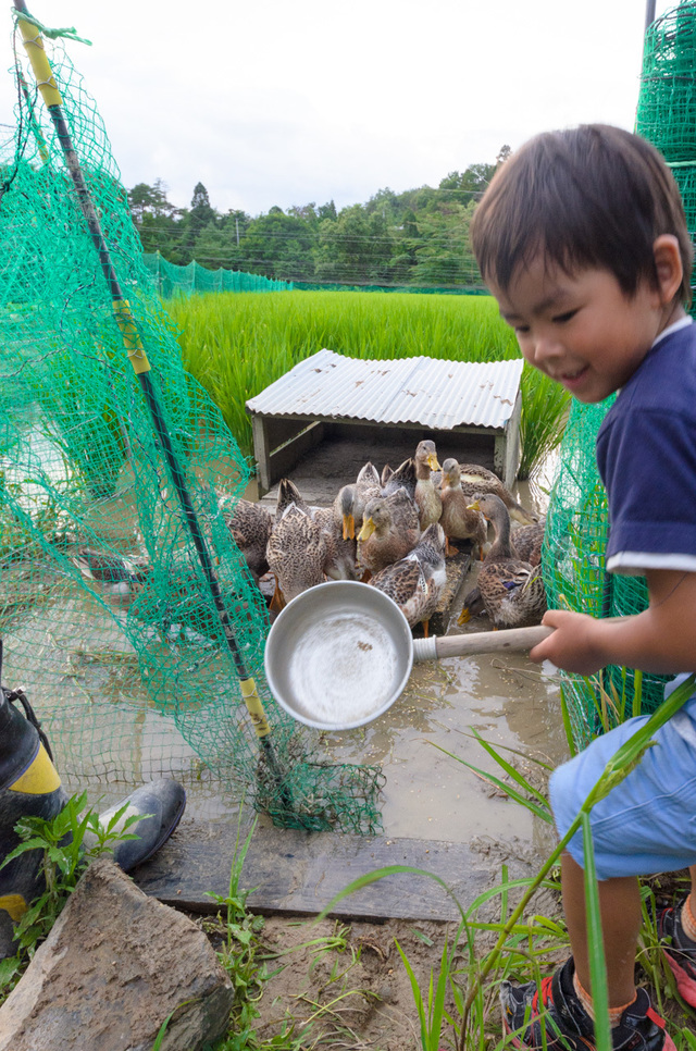 ※写真はイメージです
