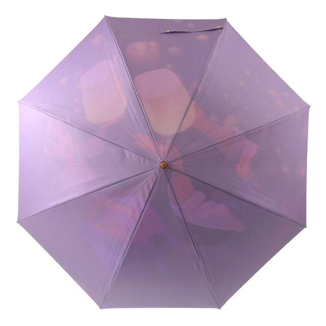 ラプンツェル＆フリン・ライダー 長傘 ジャンプ式 RAINY DAY 3,500円