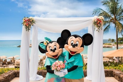 ハワイでディズニー婚】ミッキーたちのハワイ挙式限定 最新