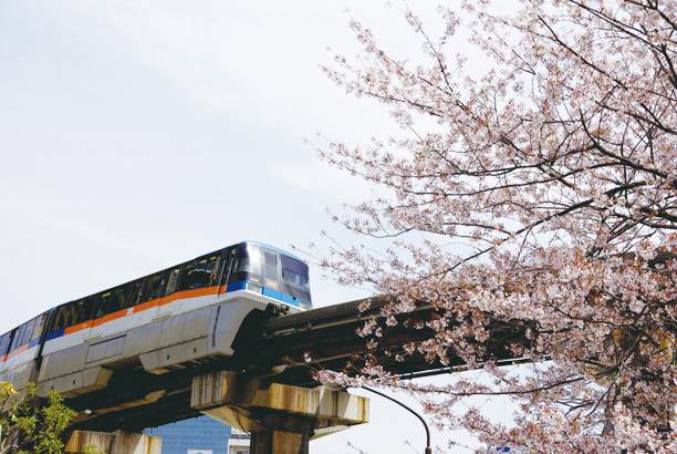 ５位：芝浦公園（しばうらこうえん）春は桜が見事！