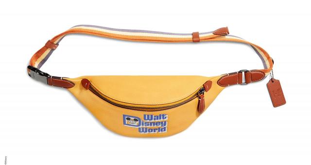 【DISNEY X COACH】チャーター ベルト バッグ 7 ウィズ ウォルト ディズニー ワールド モチーフ/¥40,700 (税込)