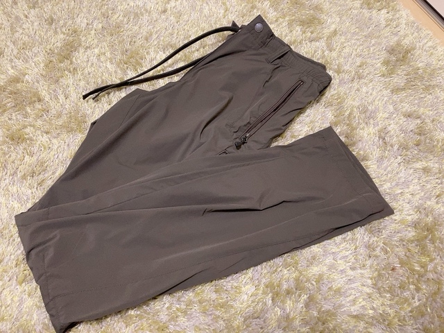 【ワークマン AERO GUARD STRETCH ICE クライミングパンツ】男女兼用です。ダークブラウンのMを購入