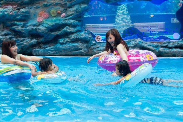 とにかく楽しい!「フィッシュゴーランド」