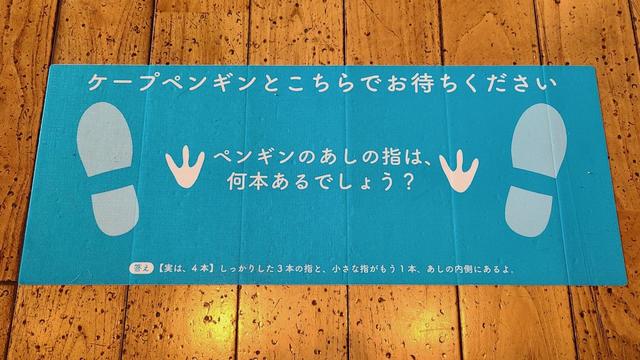 京都水族館 ディスタンス