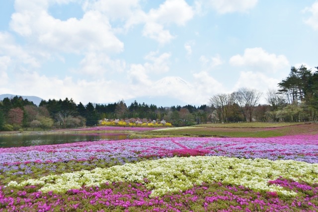 晴れたら絶景になるはず！