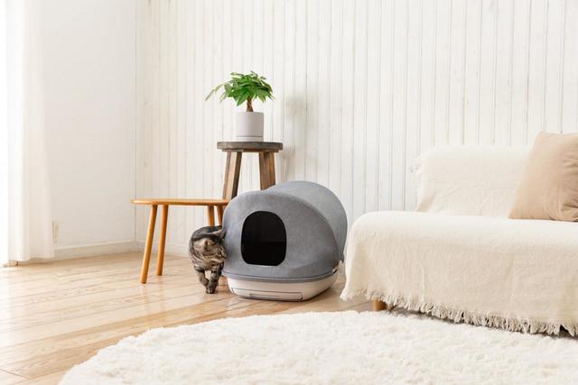 「エステーペット 実感消臭本体セット」と猫