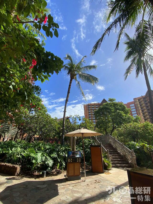 アウラニの風景