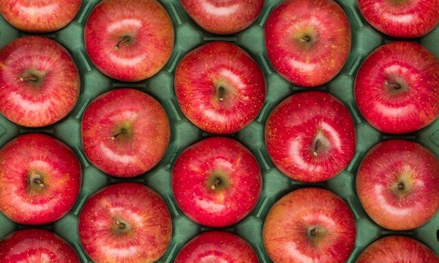 「山水のりんご」【シャインマスカット・にっこり梨・三水のりんご食べ放題】