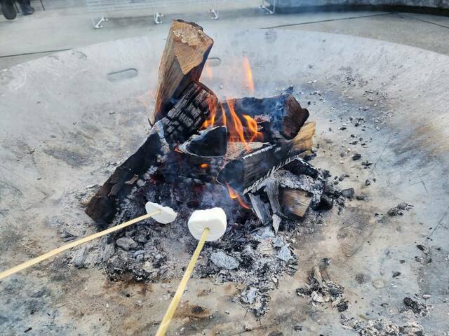 【Sport ＆ Do Resort リソルの森】焚火ガーデンの焼きマシュマロ体験