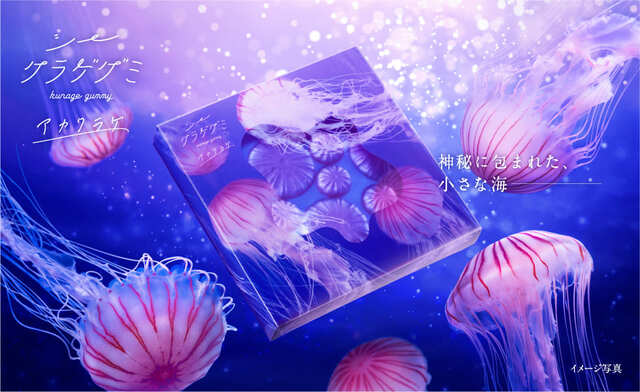 【カンロ　エモかわ商品おすすめその２】「シークラゲグミ アカクラゲ」