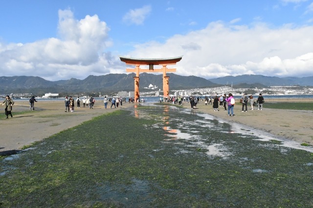 嚴島神社の風景