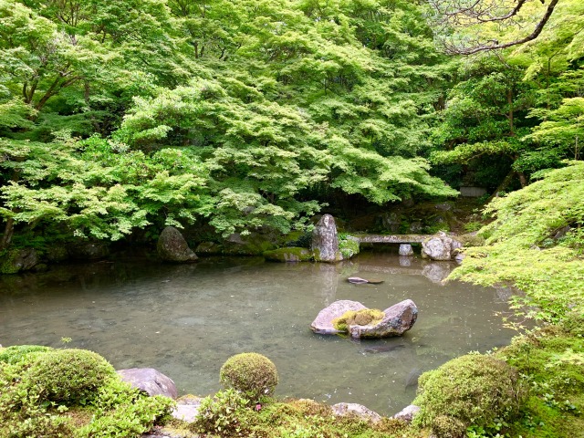 書院から見た池泉回遊庭園