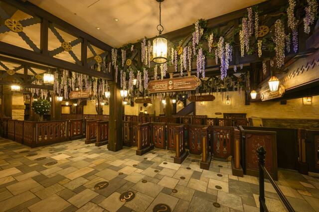 東京ディズニーシー「ファンタジースプリングス」内「アナとエルサのフローズンジャーニー」