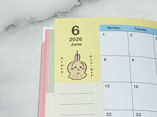 昨年登場し、大人気のウラヤハボウズ!