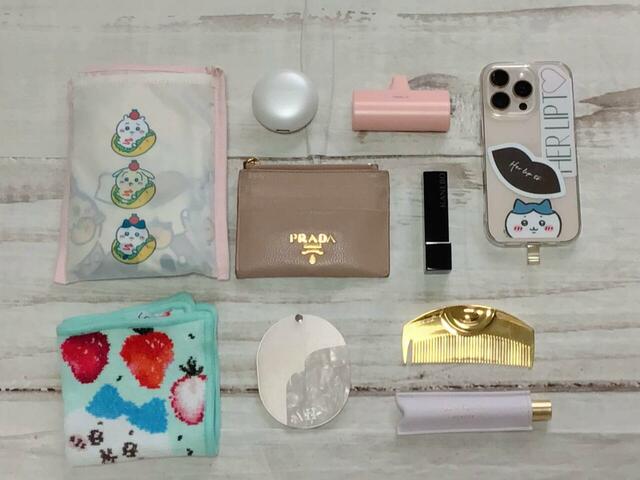 スマホやミニ財布など、これだけのものが入りました!