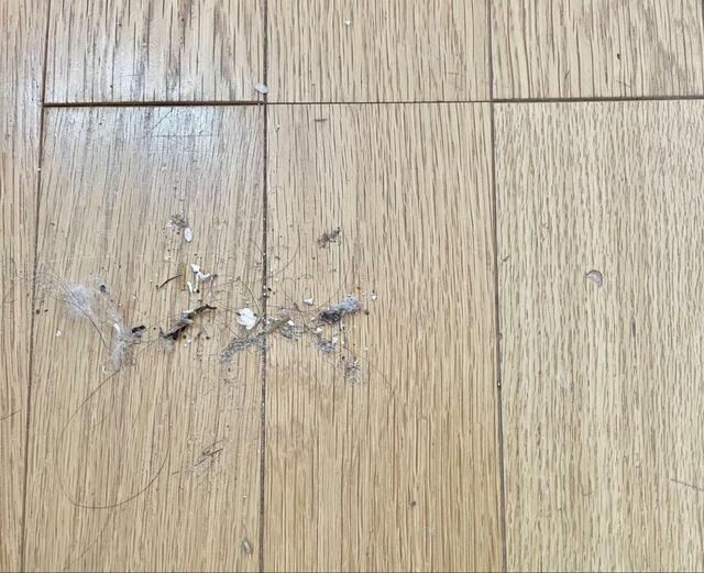 【激安スティック掃除機】床の右側に掃除機を1回かけた状態