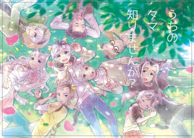 10匹のネコたちがイケメン 美少女に タマ フレンズ うちのタマ知りませんか 擬人化プロジェクト始動 Medery Character S 10匹のネコたちがイケメン 美少女に タマ フレンズ うちのタマ知りませんか 擬人化プロジェクト始動 Medery Character S