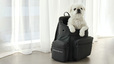 【DEAN & DELUCA/バッグパックキャリー】軽量ながら耐久性があり、愛犬を連れて背負っても体に負担のかかりづらい作りです◎