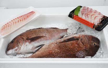 人気魚屋チェーン【角上魚類】に直撃!「丸ごと一尾・柵・刺身」一番