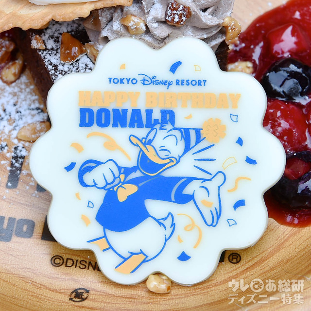 スモア風チョコレートブラウニー