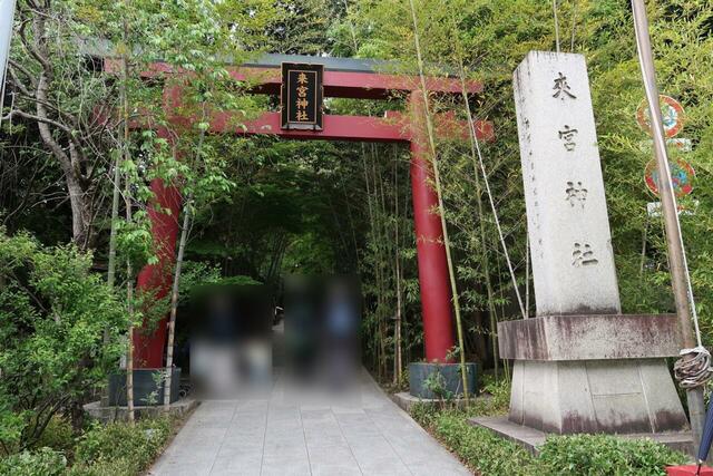 來宮神社の鳥居前にもスマホスタンドがあり、ここで撮りたい人が並んでいました