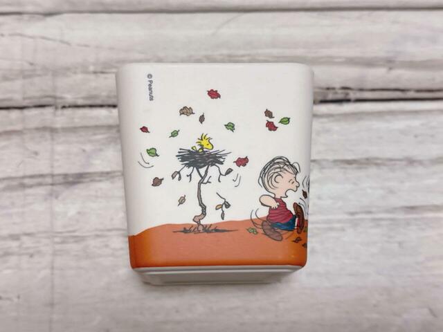 ウッドストックはお家の中でくつろぎ中♪