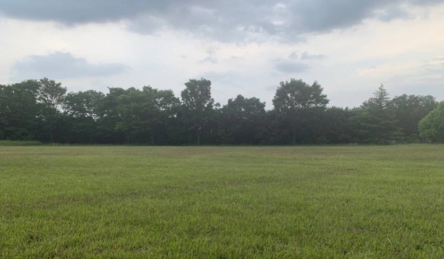 COEDOクラフトビール醸造所敷地内グランド 