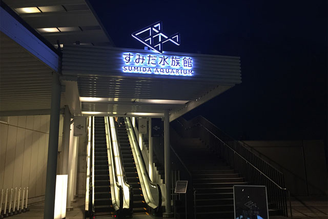 美しい! 「蜷川実花×クラゲ」の超幻想世界