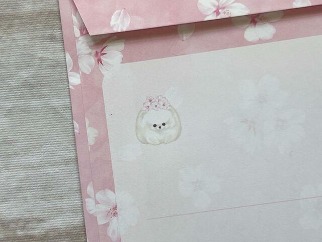 お花見に夢中で、桜が体に積もっているポメラニアンがキュート！