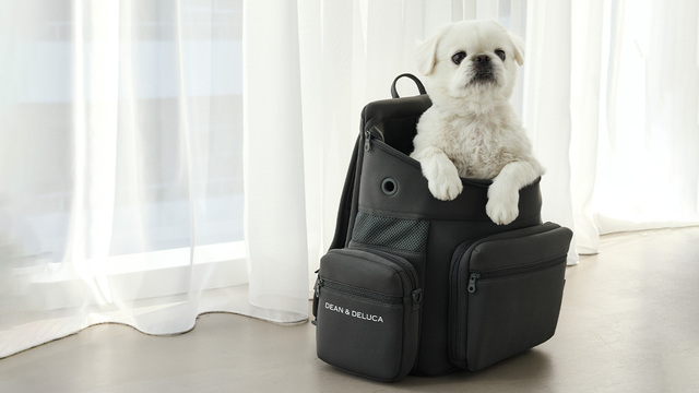 【DEAN ＆ DELUCA／バッグパックキャリー】軽量ながら耐久性があり、愛犬を連れて背負っても体に負担のかかりづらい作りです◎