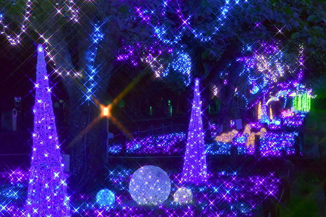 万博記念公園　イルミナイト万博　夕涼み