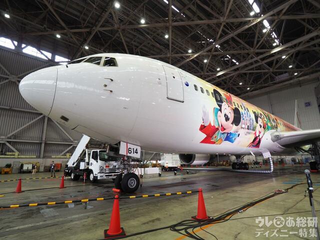 特別塗装機「JAL Colorful Dreams Express」