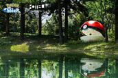 【Poké Ball-Themed Hotel(モンスターボール型ホテル)】