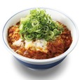 青ねぎ味噌カツ丼