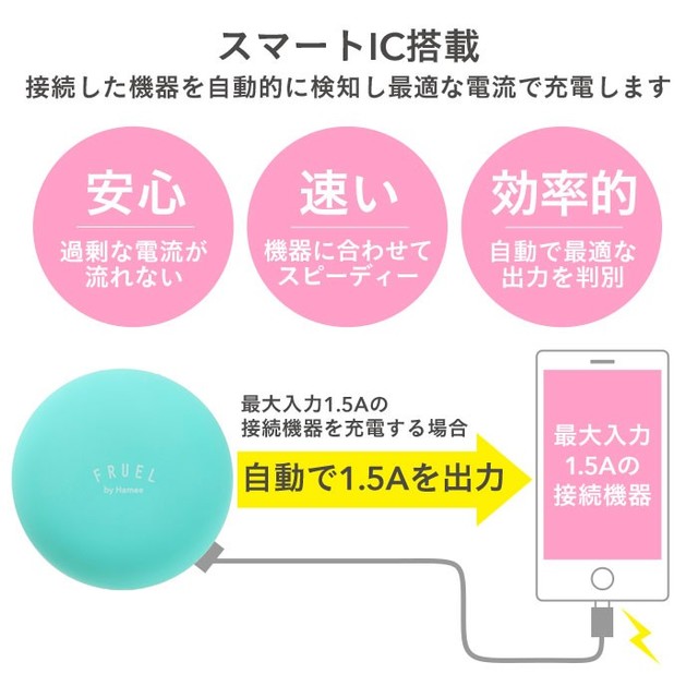 FRUEL フルーエル 2ポートUSB-AC充電器