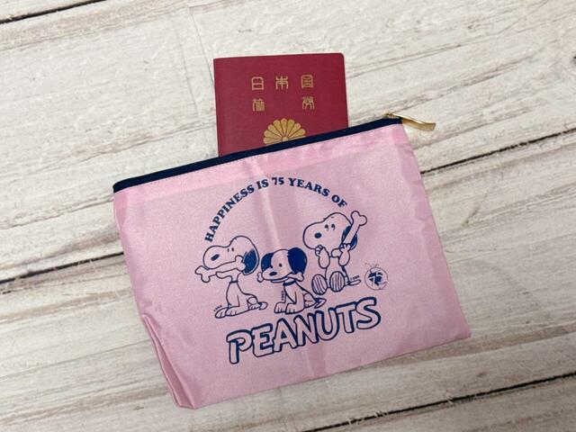 パスポートもラクラク収納できる大きさ。旅行の際の貴重品入れとしてもおすすめ