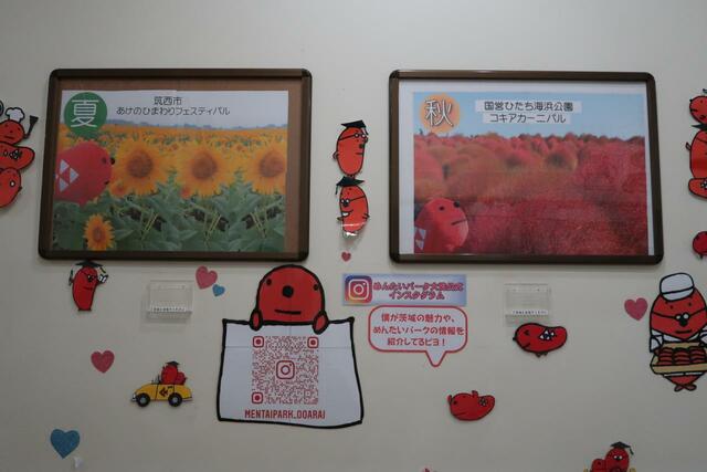 インスタなどのお知らせ