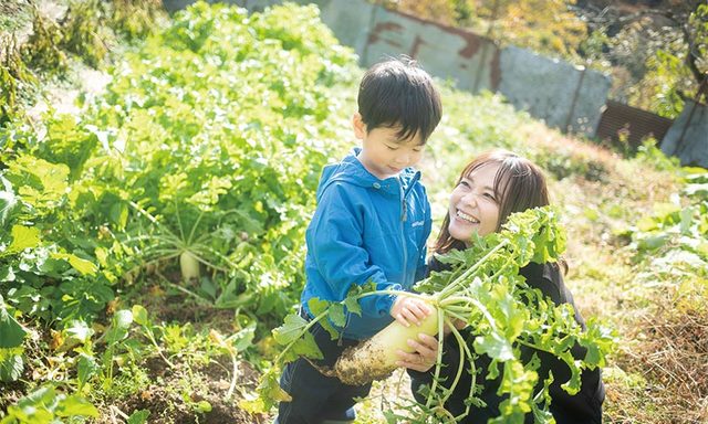 「野菜収穫体験」