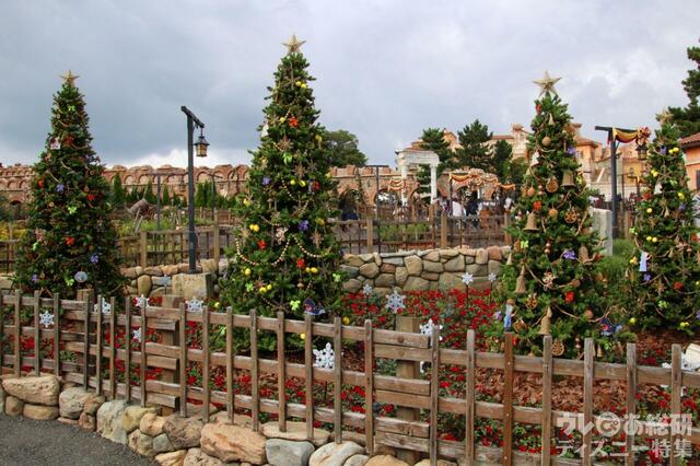 ディズニーシーのクリスマスツリー