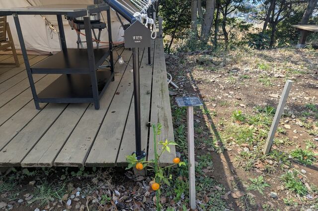 【クスクスグランピング真鶴】各棟には真鶴近辺でとれる柑橘の名前が付いている