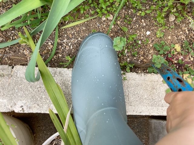 【ワークマン サファリライトレインシューズ】汚れやすい道や大降りの日でもへっちゃらです