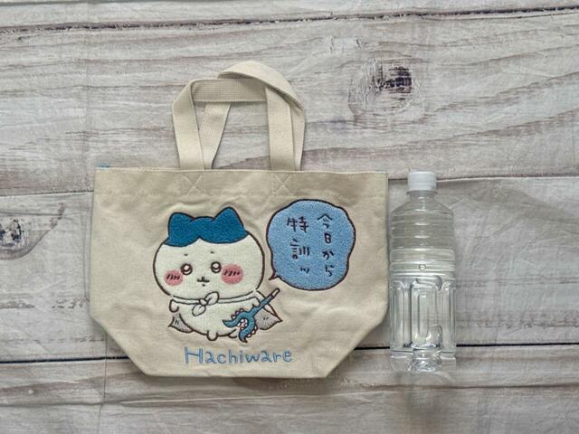 550mlのペットボトルと並べてみました