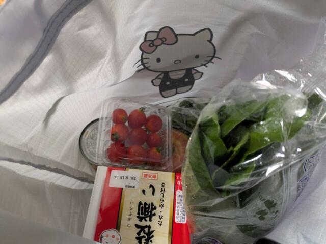 見づらいですが、缶詰や野菜、納豆などが入り、まだまだ余裕があります