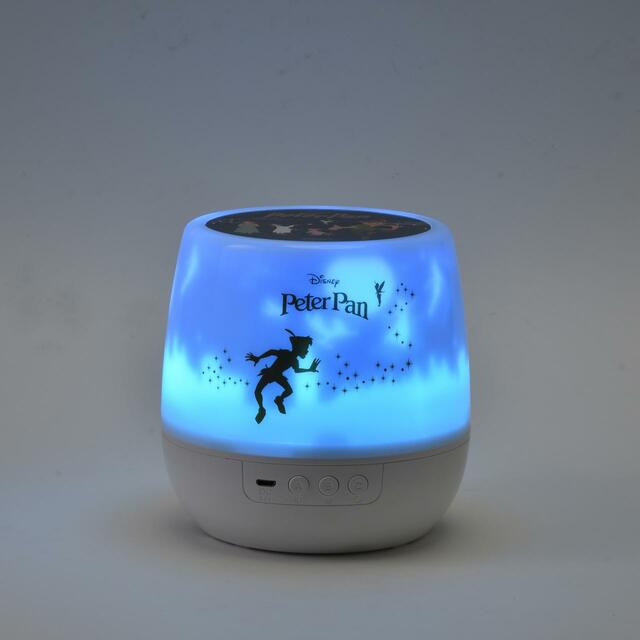 ピーター・パン ルームプロジェクション PETER PAN 70YEARS 4,400円
