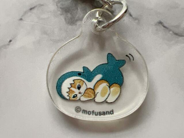 お尻をプリッとさせているサメにゃんがかわいすぎる〜！